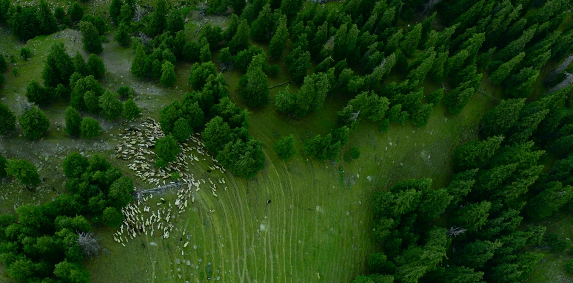 臻牧